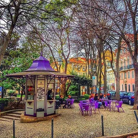 Apartmán Cosy 1br - Principe Real | By Airnest